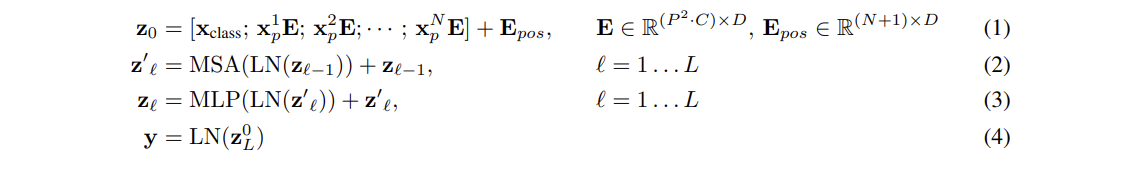 ViT-equation